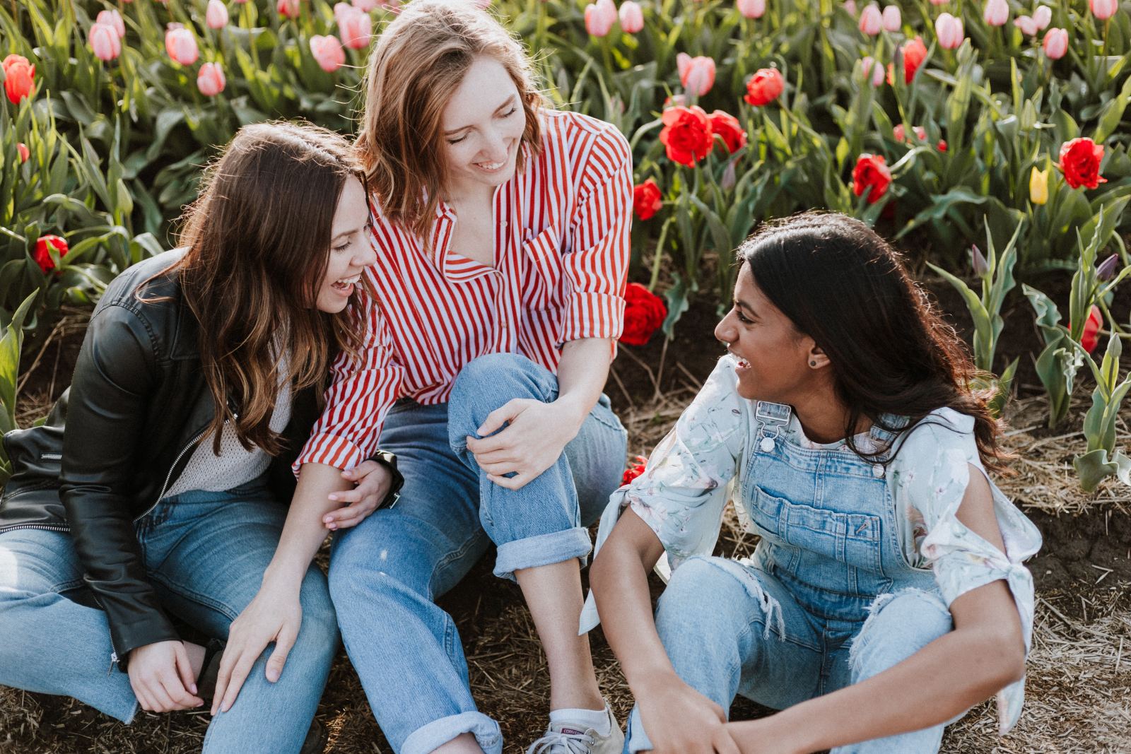 8 words that teach us something about the Dutch