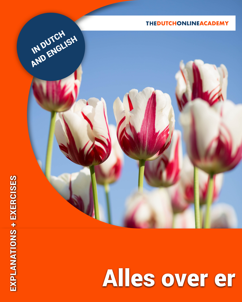 All about ER (Alles over ER ) Cover