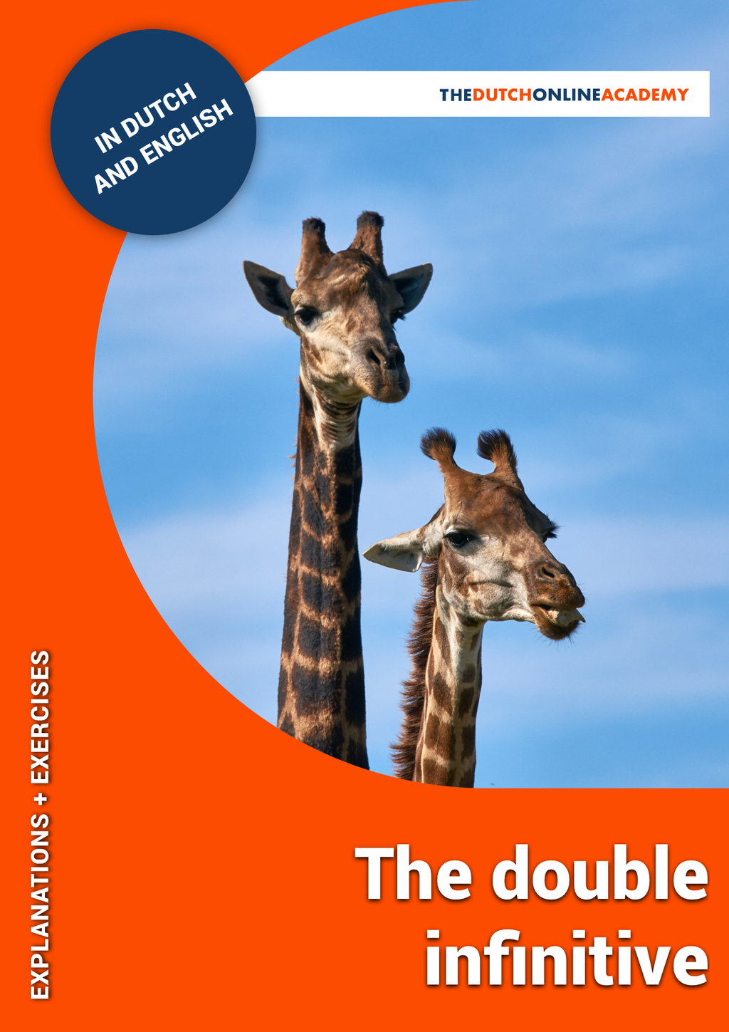 The double infinitive in Dutch [list of auxiliary verbs included] Cover
